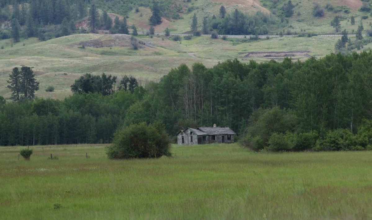 An old, abandoned cabin sits surrounded by tall grass in the Nespelem Valley on the Colville Indian Reservation.