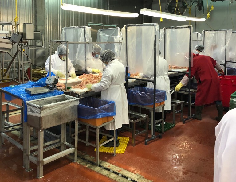 Workers process chicken at the Fieldale Farms plant in Hall County, Georgia. The food industry there relies heavily on immigrants whom Trump has attacked.