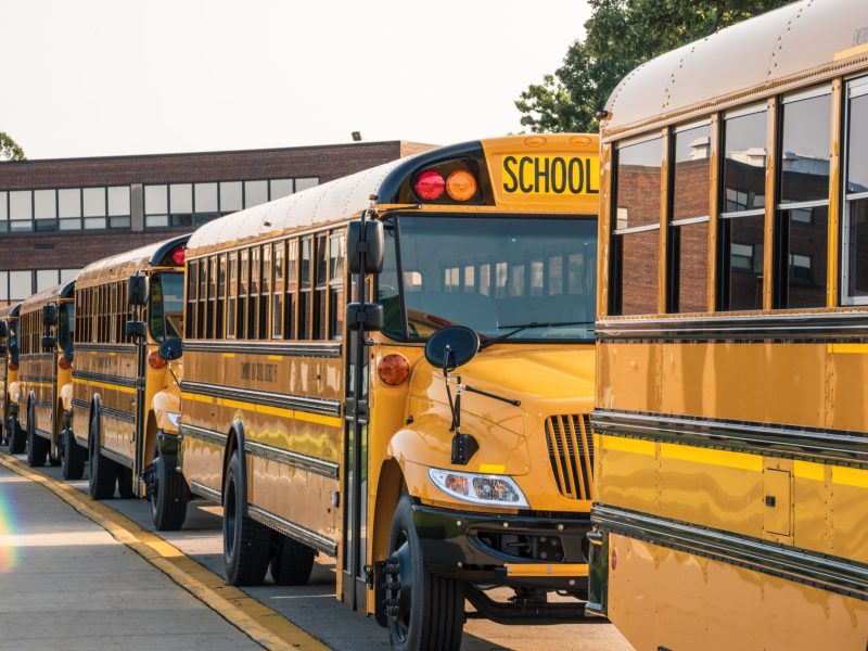 A line of school buses wait for students